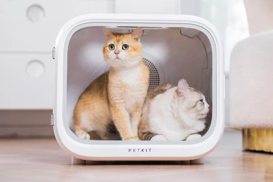 best pet dryer box